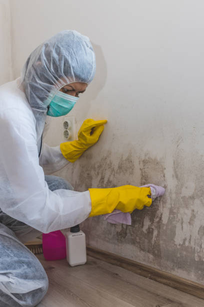 Best Airborne Mold Testing  in Independence, OH