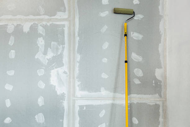 Best Asbestos and Lead Testing During Mold Inspection  in Independence, OH