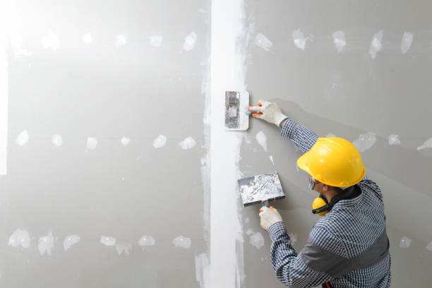 Best Basement Mold Removal  in Independence, OH
