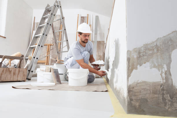 Best Mold Odor Removal Services  in Independence, OH
