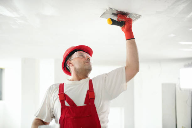 Best Water Damage & Mold Remediation  in Independence, OH