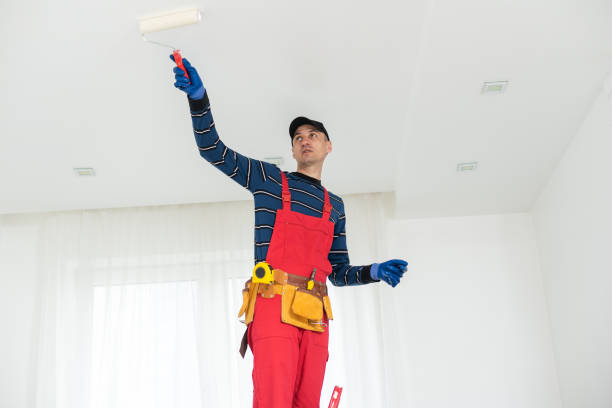 Best Mold Damage Restoration  in Independence, OH
