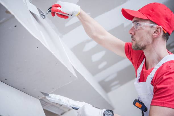 Best Mold Documentation for Insurance Claims  in Independence, OH